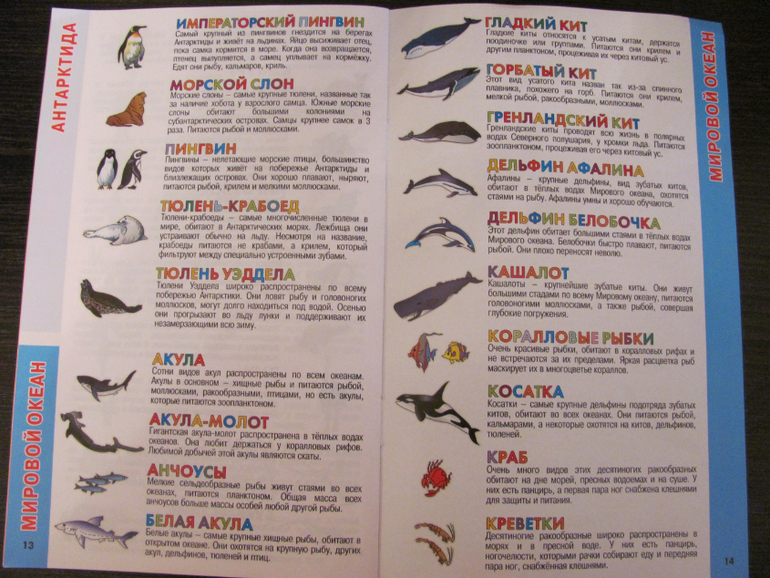 Глобус для первого знакомства с миром