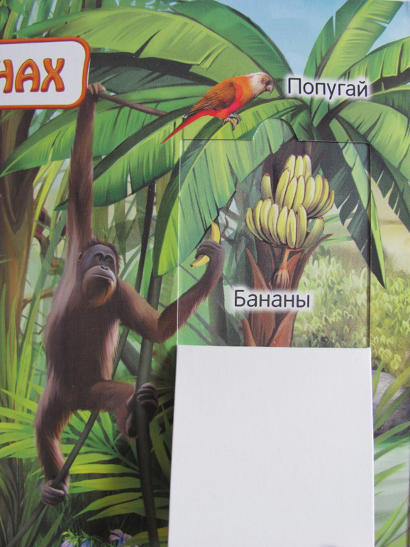 Животные -любимая книжка с окошками, НЕ АРКЕБУС))