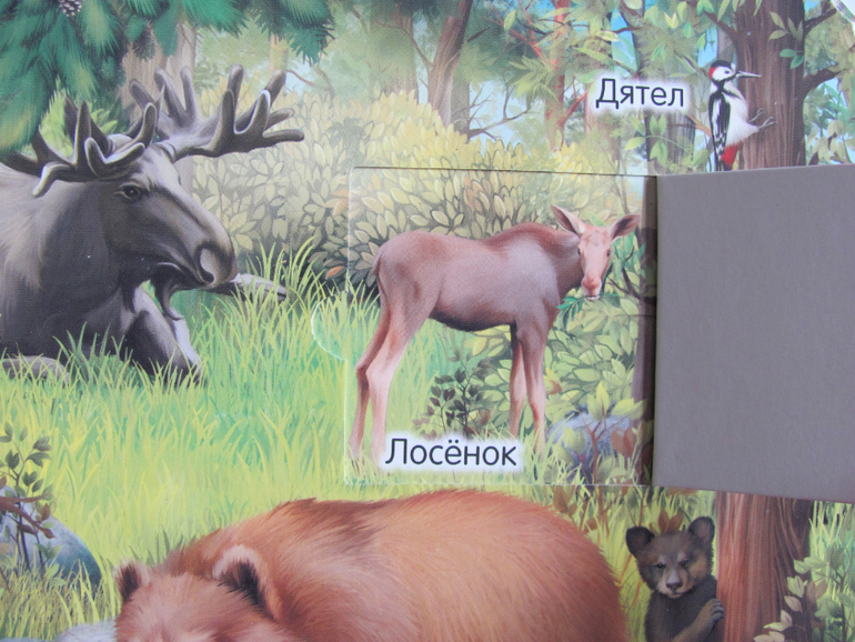 Животные -любимая книжка с окошками, НЕ АРКЕБУС))