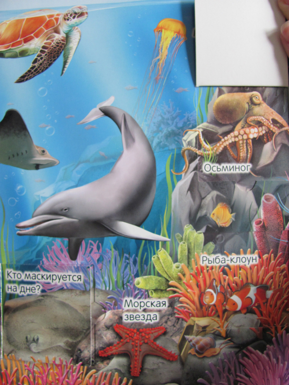 Животные -любимая книжка с окошками, НЕ АРКЕБУС))