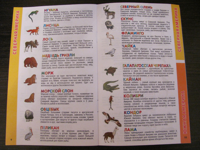 Глобус для первого знакомства с миром