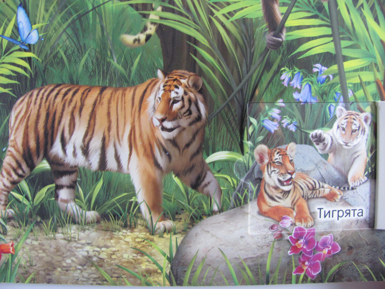 Животные -любимая книжка с окошками, НЕ АРКЕБУС))