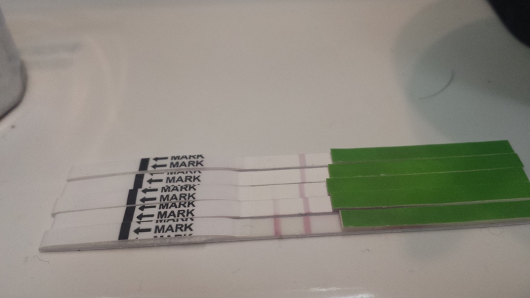 Деаочки овулечка же?!