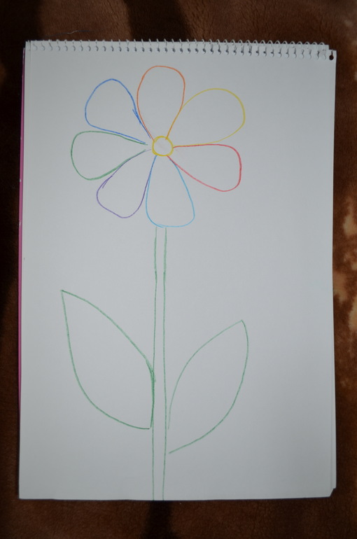 Акварельные карандаши