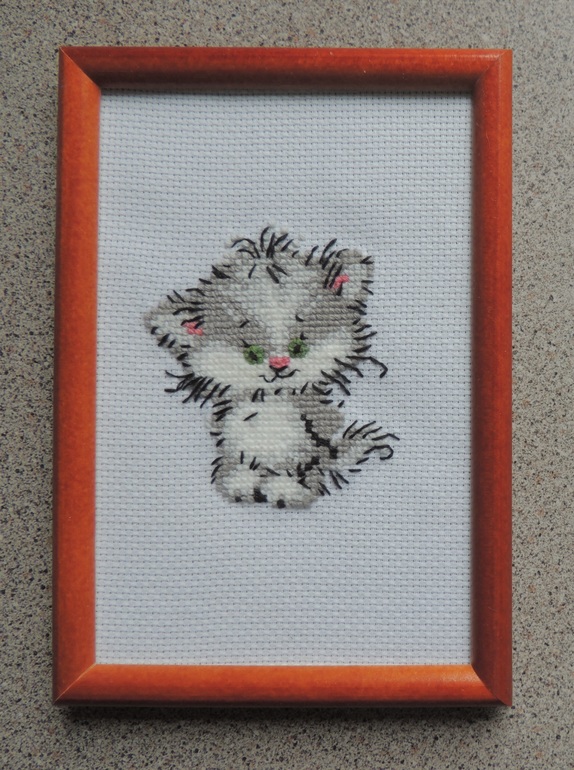 Майский Котик