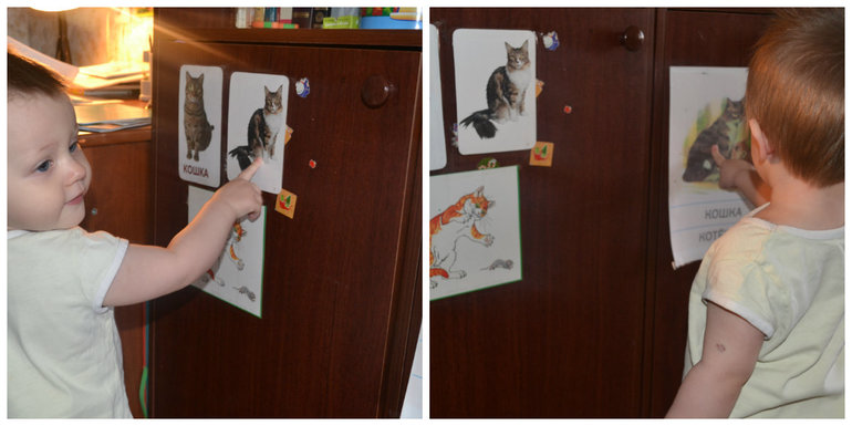 ТЗ Кот