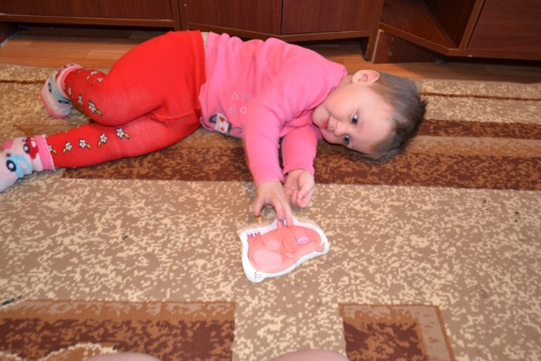 ТЗ Поросенок