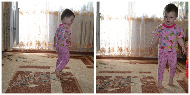 ТЗ Корова