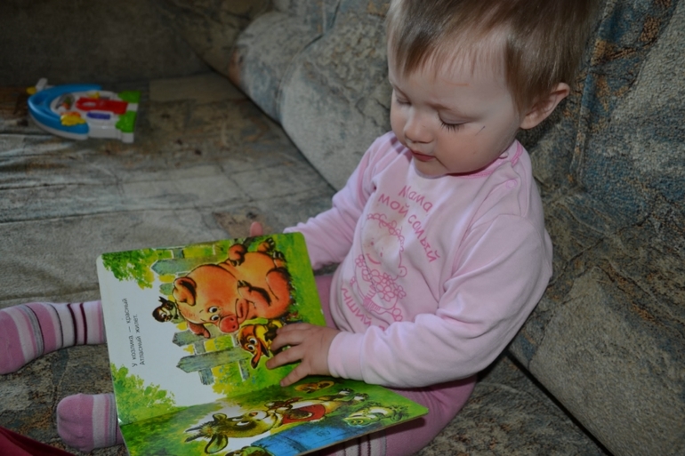 ТЗ Поросенок