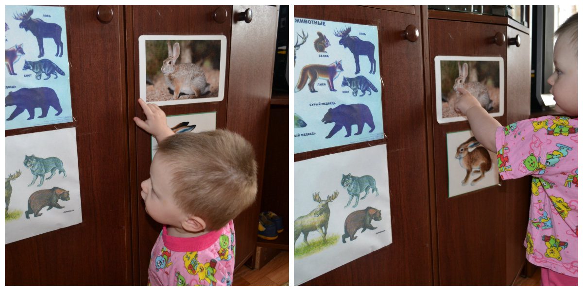 ТН Лесные друзья. День 3 ЗАЯЦ