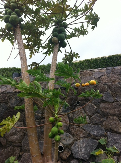 Взлет 72 Шаг 21