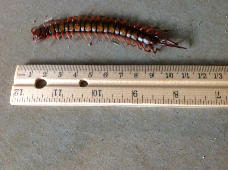 Взлет 72 Шаг 21