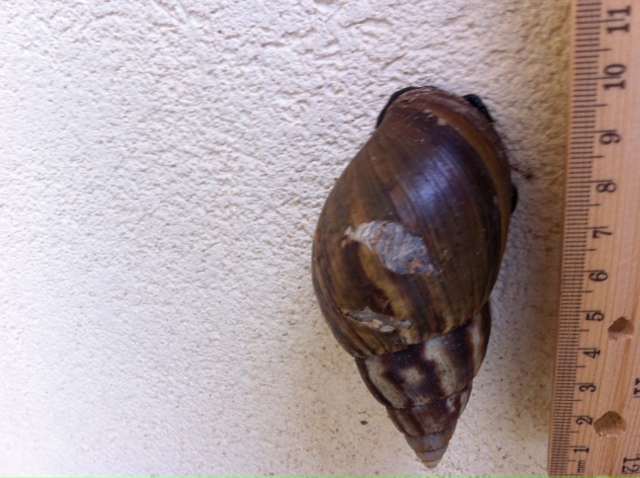 Взлет 72 Шаг 21