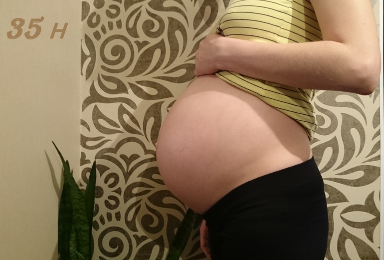 Маленький живот у беременной. Живот на 35 неделе беременности. Беременный живот в 35 недель. Беременное пузо на 35 неделе.