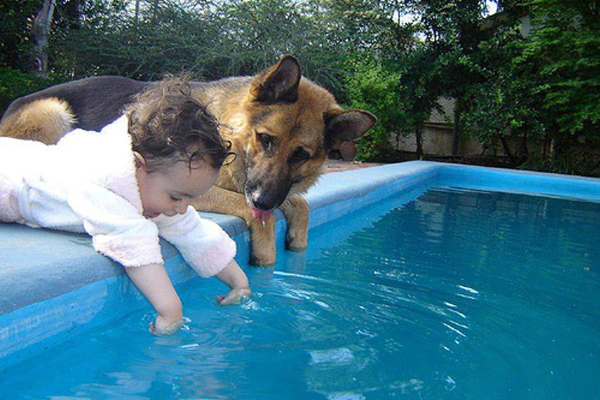 Интересно, это питомцы похожи на хозяев или наоборот?