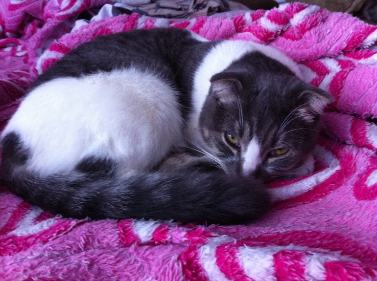 Семья летчиков