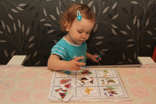 ТЗ "Бабочки-красавицы" в проекте "Гуляем-изучаем".