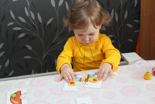 ТЗ "Бабочки-красавицы" в проекте "Гуляем-изучаем".