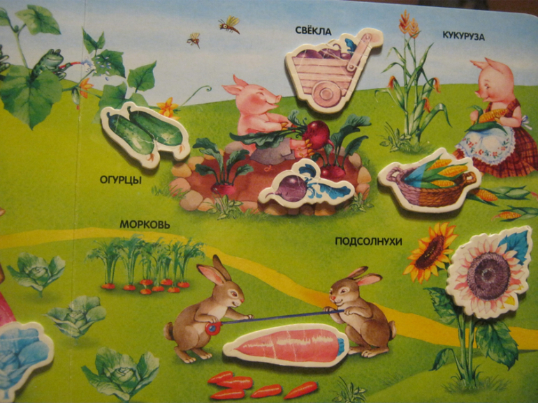 Чиполлино:)
