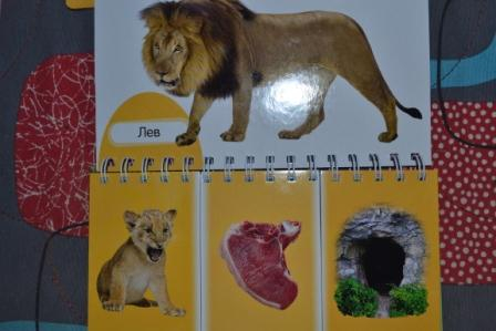 Книги для самых маленьких.