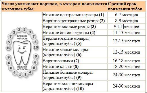 Зубкосчиталка
