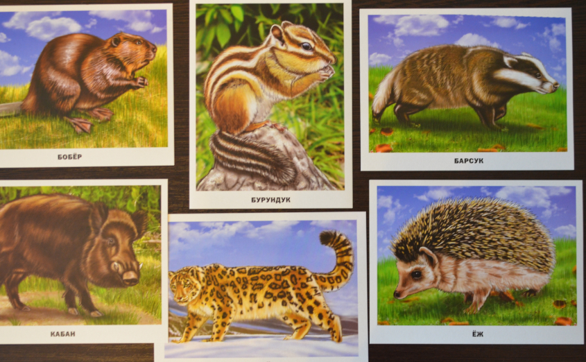 Обзор карточек