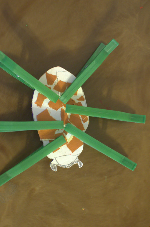 ТН Насекомые. День 1 (муха, жуки, кузнечик)