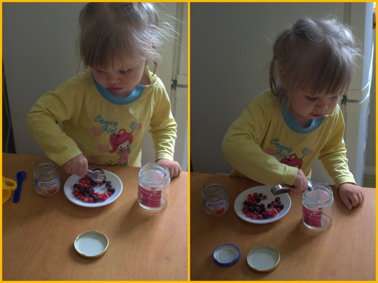 ТН "Ягоды". Смородина