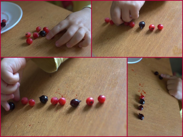 ТН "Ягоды". Смородина