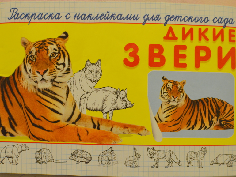 ТН Встречаем зиму (зимний лес, животные), 21 день до НГ