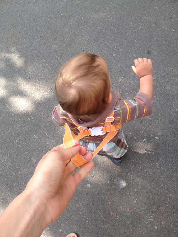 вот и мы ходим теперь)