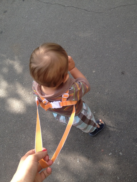 вот и мы ходим теперь)