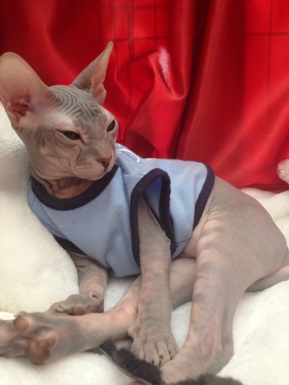 Мурмурмур:)