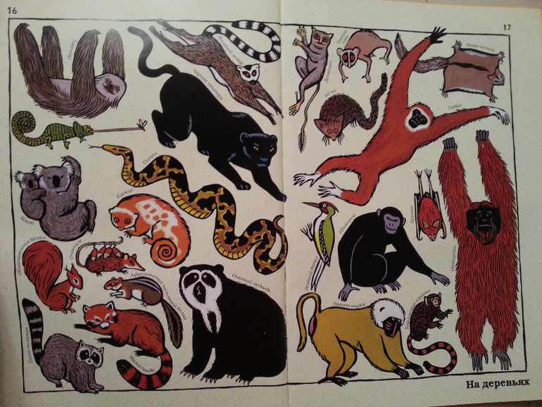 Такие разные животные. Жоэль Жоливе