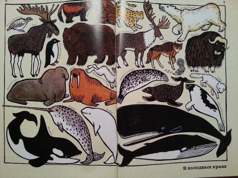 Такие разные животные. Жоэль Жоливе