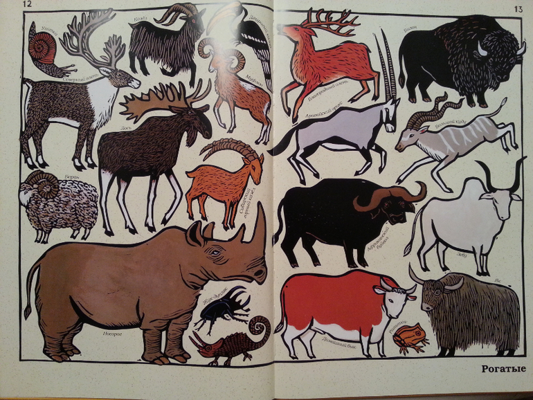 Такие разные животные. Жоэль Жоливе