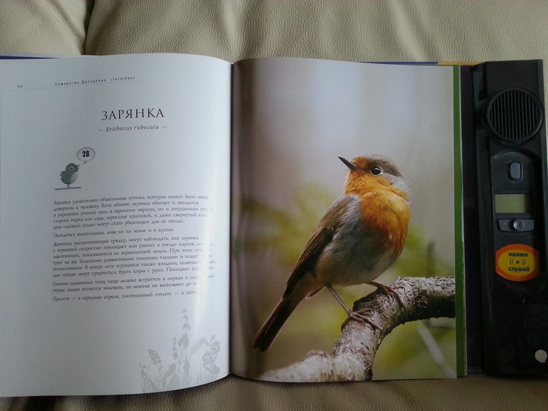 Воз и маленькая тележка! Часть 1.