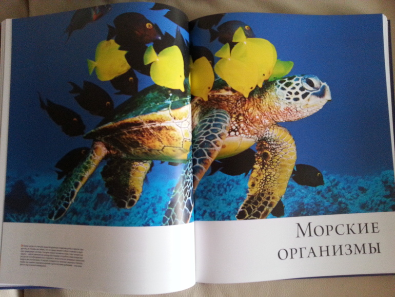 Воз и маленькая тележка! Часть 1.