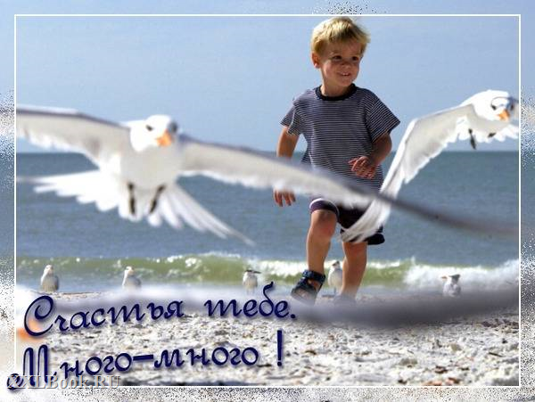 Радость)))