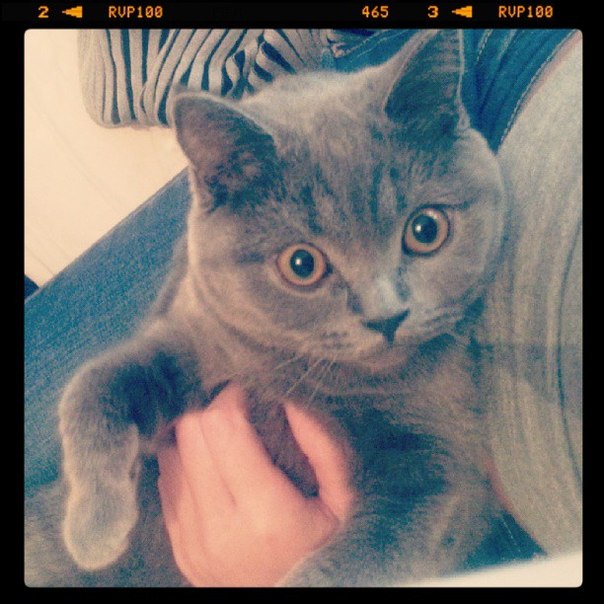 Мы подросли!))