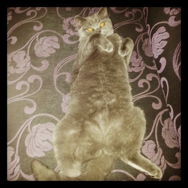 Мы подросли!))