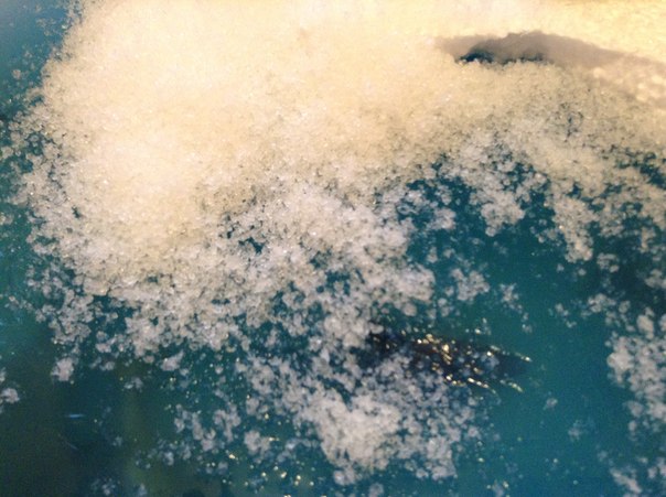 Царство холода и льда