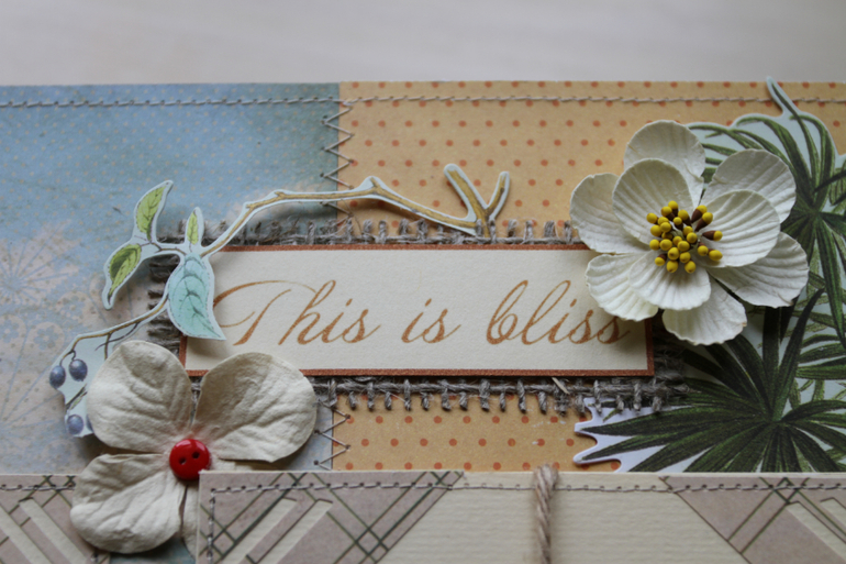 Мое ЧУДО ЧУДНОЕ