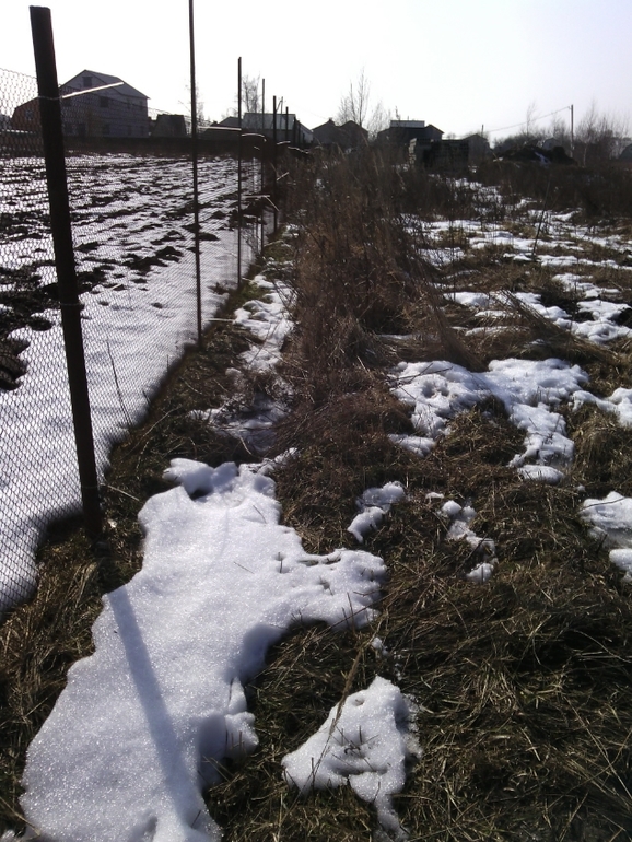 мой праздничный день