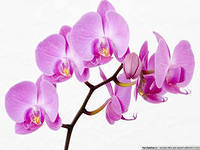 День дошкольного работника!!