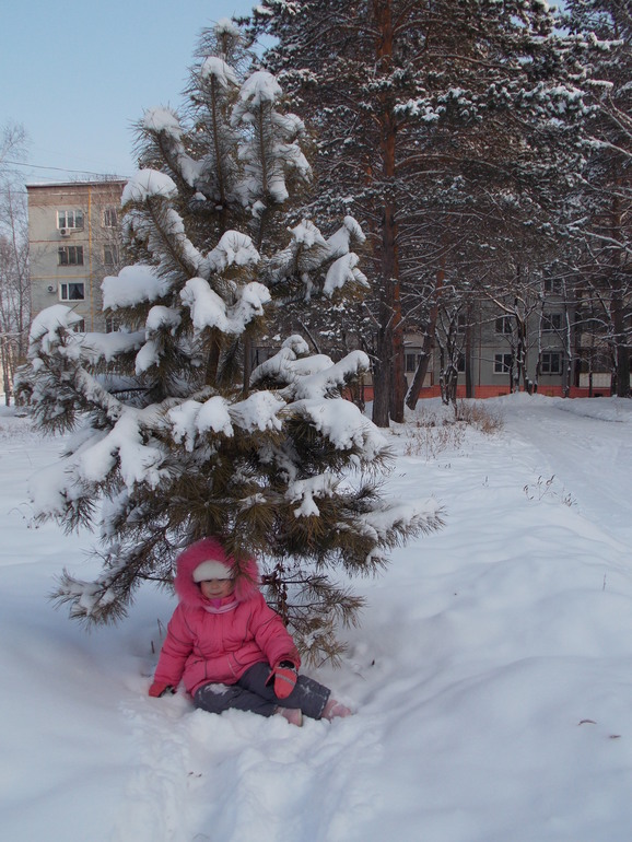 Зимняя прогулка (3,7)