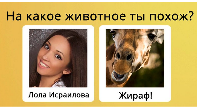 10c809ef290c304fd93de1a26d4e4a56.png