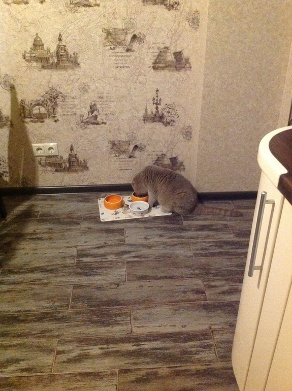 Моя кухня! Наконец-то!!!