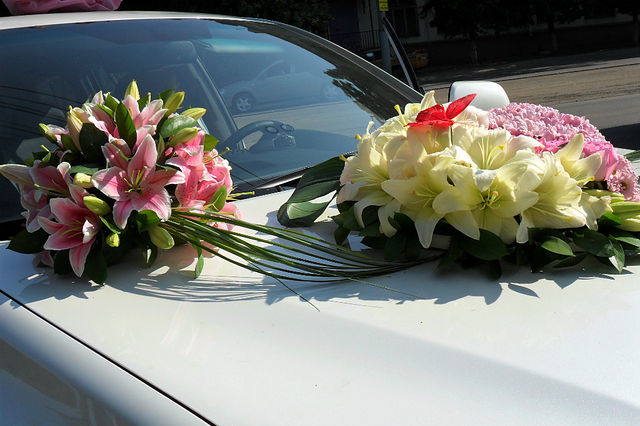 Моя флористика. Много фото.