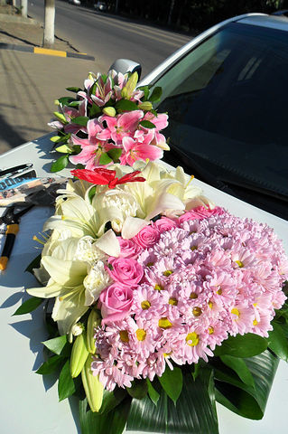 Моя флористика. Много фото.